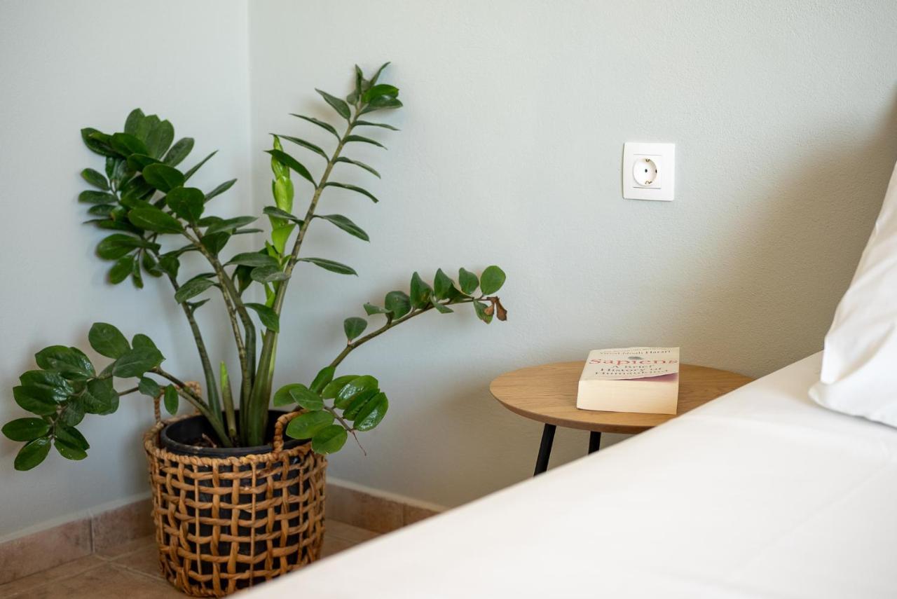 Apartment Serenity Hideaway