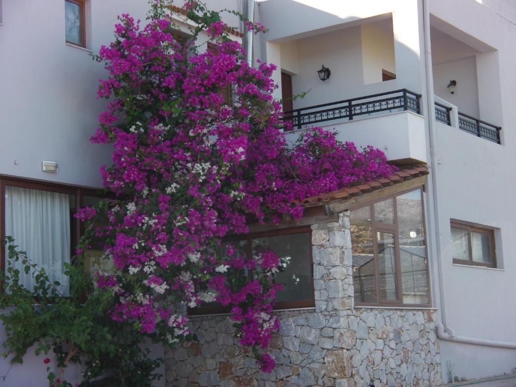 Serenity Hideaway * Palaiochora