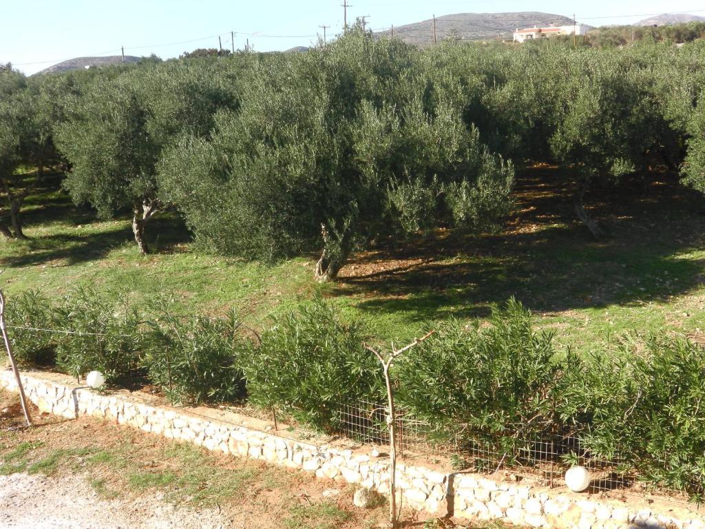 Appartement Serenity Hideaway Paleóchora